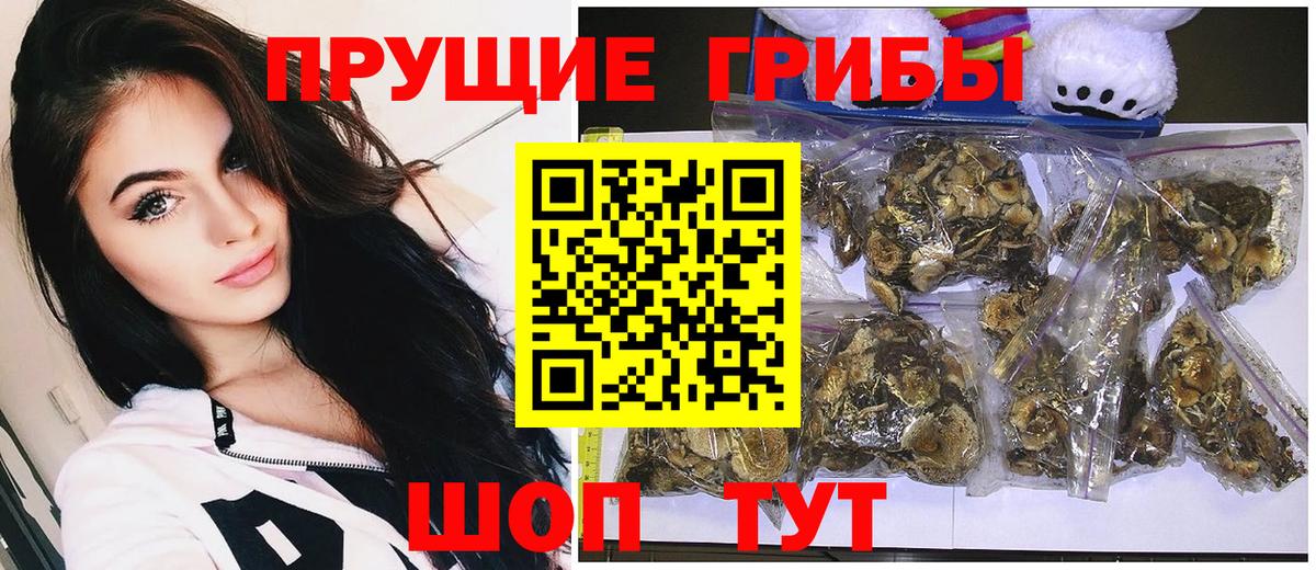 Галлюциногенные грибы Cubensis Карталы